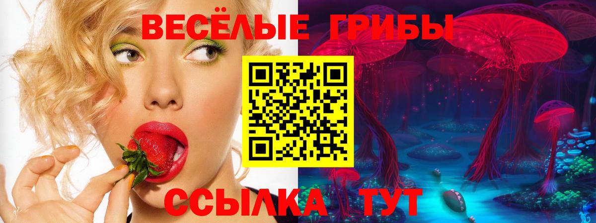Псилоцибиновые грибы мицелий Ирбит